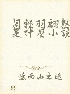 周轻羽翩然仙子是什么小说