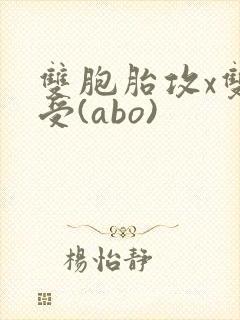 双胞胎攻x双性受(abo)封面