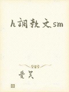 h调教文sm封面