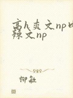 高h爽文np肉辣文np