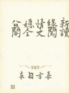 公媳情缘新笔趣阁全文阅读封面