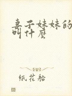 妻子妹妹的老公叫什么