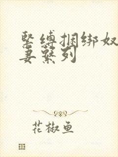 紧缚捆绑奴隷人妻系列