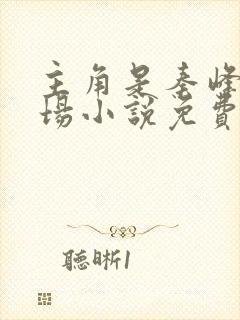 主角是秦峰的官场小说免费阅读