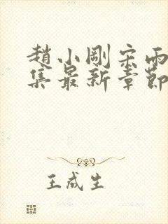 赵小刚宋雨晴全集最新章节作者易看封面