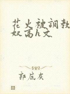 花火被调教成肉奴高h文封面
