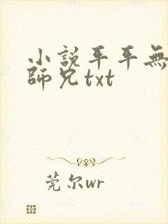 小说平平无奇大师兄txt封面