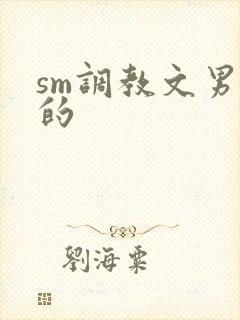 sm调教文男男的