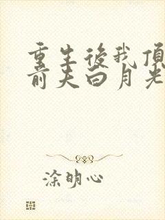 重生后我顶替了前夫白月光大概剧情封面