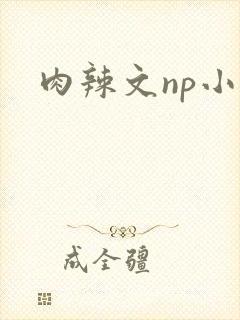 肉辣文np小说封面