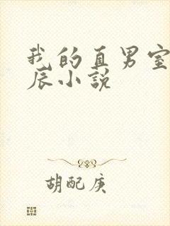我的直男室友张辰小说