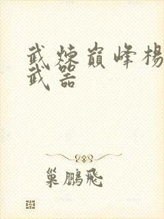 武炼巅峰杨开的武器