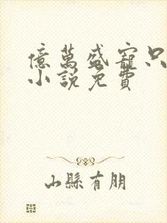 亿万盛宠只为你小说免费