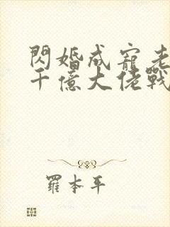 闪婚成宠老公是千亿大佬战胤海