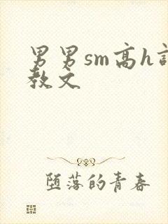 男男sm高h调教文
