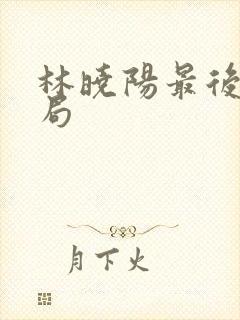 林晓阳最后的结局