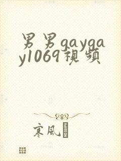 男男gaygay1069视频