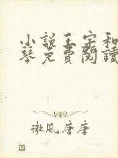 小说王宇和周美琴免费阅读封面