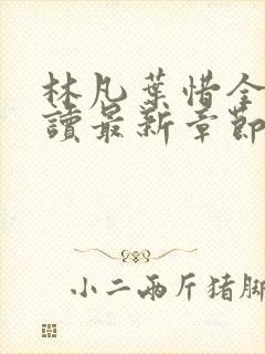 林凡叶惜全文阅读最新章节列表