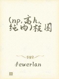 (np,高h,纯肉)校园