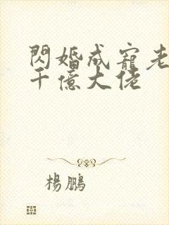 闪婚成宠老公是千亿大佬封面