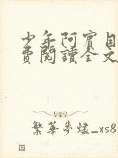 少年阿宾目录免费阅读全文无删减小说