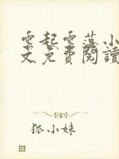 云起云落小说全文免费阅读洛云施