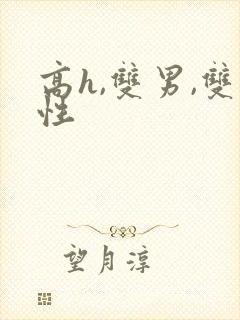 高h,双男,双性