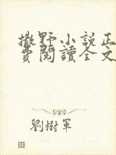 撒野小说正版免费阅读全文无删减封面
