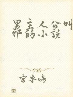 男主人公叫柳无邪的小说