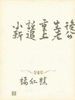小说重生后我重新追上老公封面