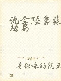 沈念陆枭苏晚大结局封面
