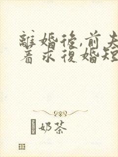 离婚后,前夫哭着求复婚短剧