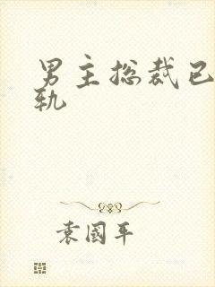 男主总裁已婚出轨封面
