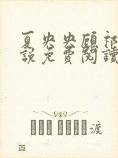 夏央央顾祁琛小说免费阅读封面