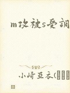 m攻被s受调教