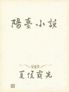 阳台小说