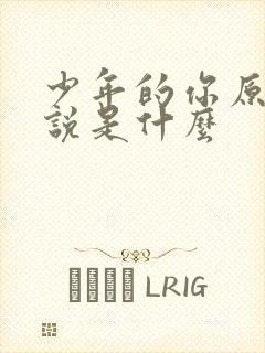 少年的你原著小说是什么