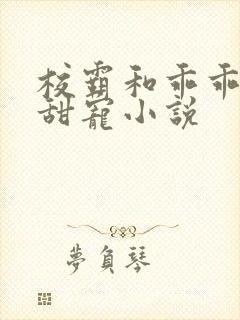 校霸和乖乖女的甜宠小说