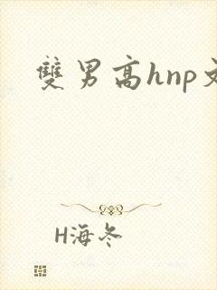 双男高hnp文