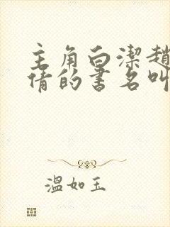 主角白洁赵敏张倩的书名叫什么