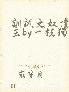 训诫文奴仆双男主by一枝独秀