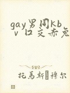gay男同kbⅴ囗交赤兔封面