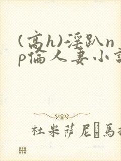 (高h)淫趴np伦人妻小说