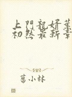 上门龙婿叶辰萧初然最新章