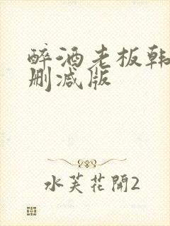 醉酒老板韩漫未删减版