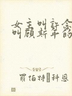 女主叫许念男主叫顾斯年的小说名字