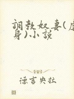 调教奴妻(虐女身)小说封面