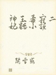 神王毒宠二嫁王妃听小说