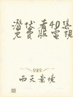 潜伏者40集全免费版电视剧在线观看